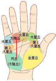 1.1 手相学中的“豪门”标识