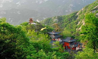 2026年黄历警告：这些日子去会倒大霉