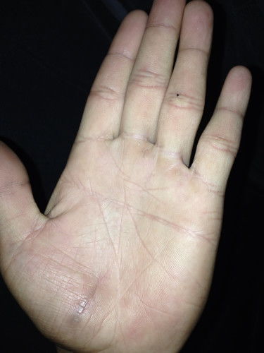 性格特质的深度剖析