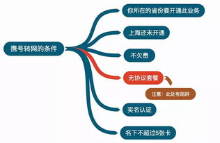 二、 实践操作与具体策略
