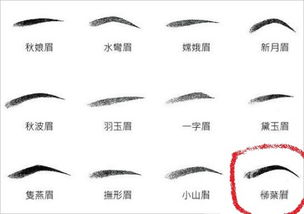新款柳叶眉是不是比八字眉更时尚好看？