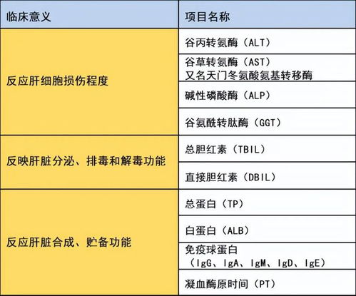 一、 肝脏功能异常的初步辨识与临床表现