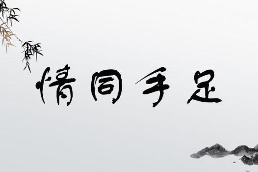 “情同手足”：理想家庭关系的具象化表达