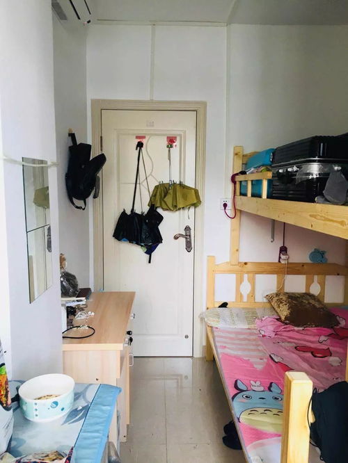 梦见回到学校宿舍，这预示着什么？