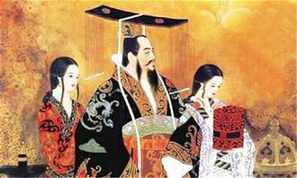 金屋藏娇的生肖是什么？