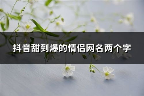 二、 生肖文化的现代演绎：抖音网名的独特魅力