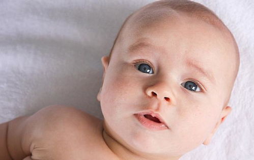 取名大全？不如翻字典！