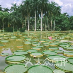 桂林植物园：市场价格较低背后 设施简陋的真实相