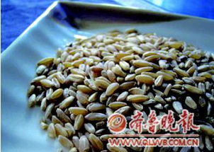 二、 夏至面——饮食习俗中的时令象征