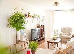 二、 电视与门窗之间的相互关系