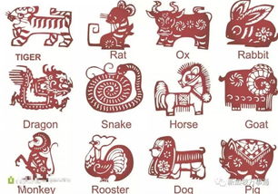 金水生肖和金水土生肖分别指哪些生肖？