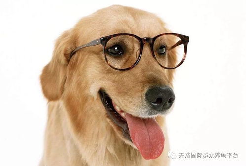 二、 风水学角度：宅运与居住环境
