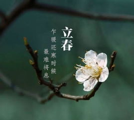 立春和春节的关系