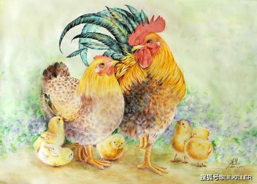 1981年属鸡的人与哪些属相财运相合？