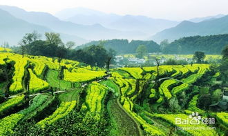 黄山婺源3日游攻略：省钱玩法全解析