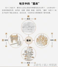 八字中透干和藏干分别指什么？如何理解它们在算命中的含义？