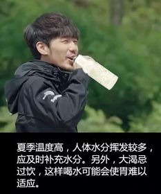 风雨中的陪伴