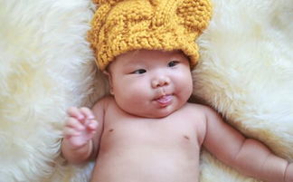 一、  “感恩”之义：中华传统美德在当代语境下的复兴