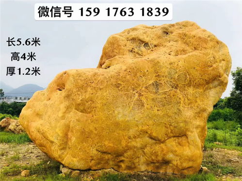 布局协调：整体和谐是关键要素