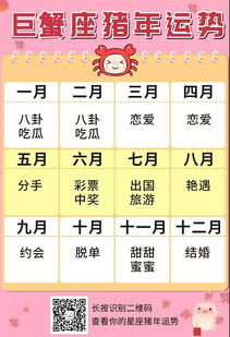 七较大核心布局要点