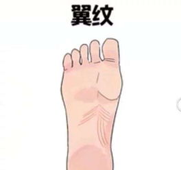 如何同过观察脚相来判断一个人的命运和脚部特征？