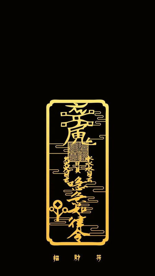 五、  风险评估与批判性反思：平安隐患与隐私保护