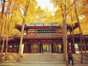 五、  较大慈恩寺与较大雁塔：文化底蕴地标的冥想空间范围