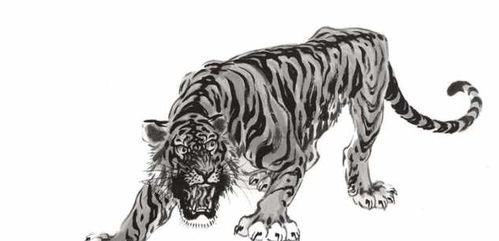 三心二意的生肖动物是什么？三心二意打一生肖动物指的是什么？