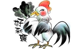 属鸡人2026年冲太岁该如何进行化解方法？