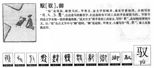 五、 起名服务机构的专业立场与价值取向