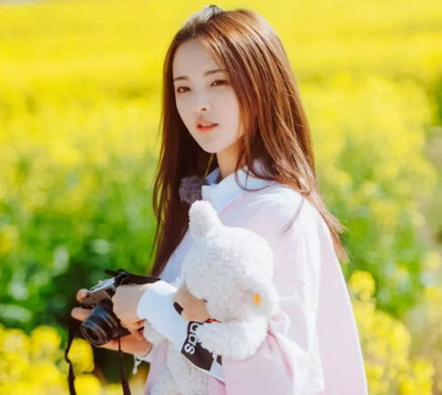 唯美网名的文化意蕴与个性彰显