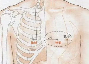 ：风水堪舆中“窝钳乳突”形态学的理论基石与实践意义