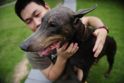 1. 筑巢行为的普遍性