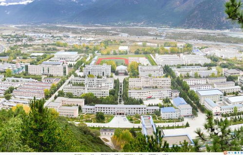 一、啊！农牧饲料公司起名这事可太重要了！