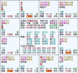 紫微命盘八字显示嫁富二代，这样的命盘适合炒股吗？