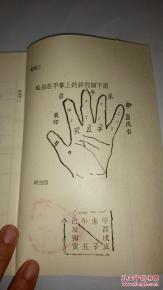 类神为主、 干支为辅的判定框架