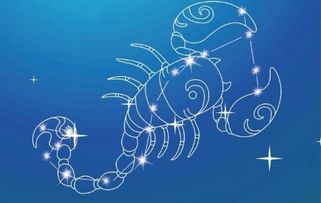 2026年属兔天蝎座农历十月运势及每月运势具体内容是什么？