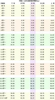基础年龄计算与虚周岁之辨