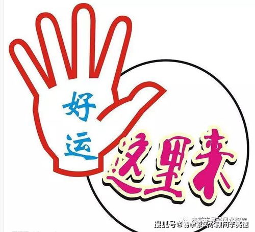 （一） 关键期假说与早期教育的有效性