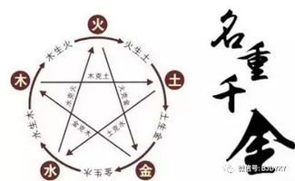 取名原则：开心就好啦