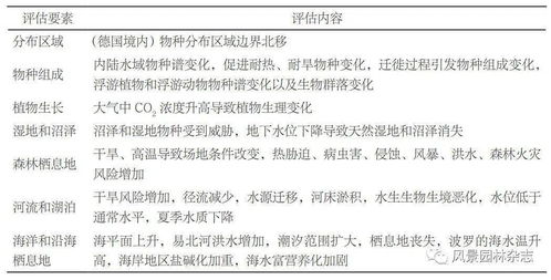 （一） 心态调整与自我接纳的内在重构