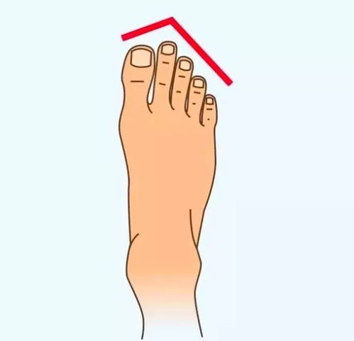 脚趾头长短真的嫩决定男人的性格和命运吗？