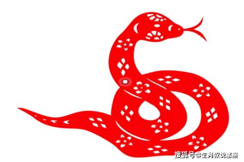 2026年属蛇本命年运势小结具体内容是什么？