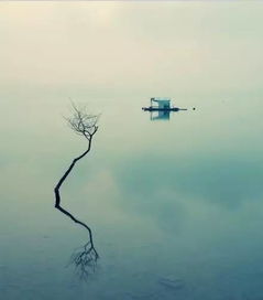 兔——温文尔雅、 善于享受宁静时光