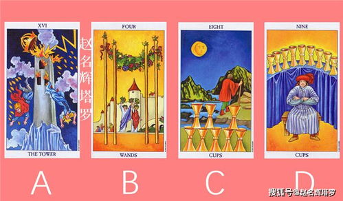 塔罗占卜视角下的情感画像解析