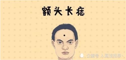 二、 性格特质：乐观真诚与理想主义的交织