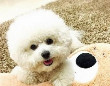 ：让店名成为品牌故事的一一部分