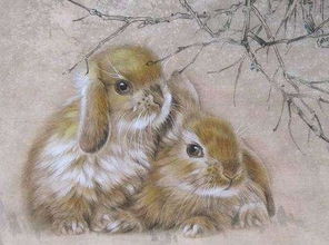 属兔射手女生性格特点及适合送她的礼物有哪些？