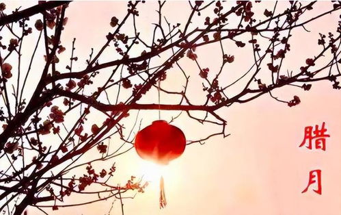 农历腊月十一当天是黄道吉日吗？这个日子有什么特殊含义？