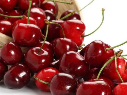 已婚妇女的噩梦